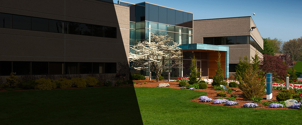 Tuckahoe Landscapers