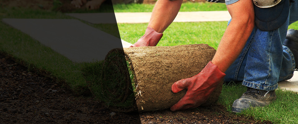 Tuckahoe Landscapers